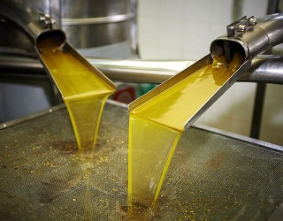 На Миколаївщині намагались незаконно експортувати соняшникову олію вартістю 58,5 млн грн